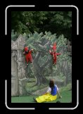 il etait une fois 013 * 2336 x 3504 * (3.43MB)